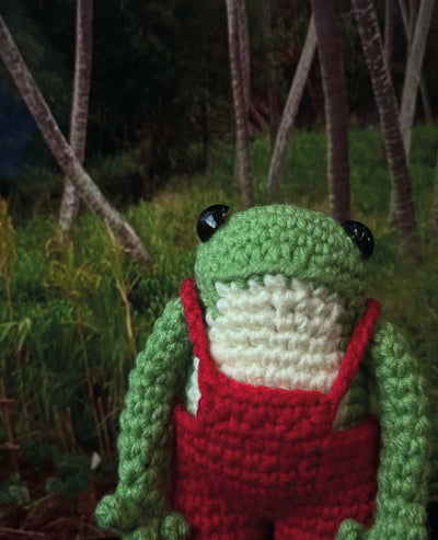 Adorable Crochet Frog Pattern