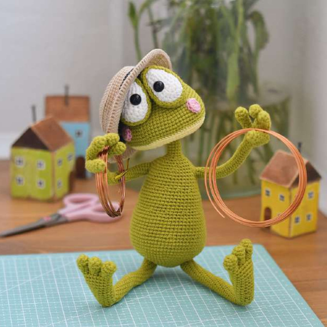 Adorable Froggy Beach Crochet Pattern