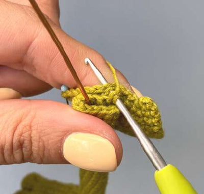Adorable Froggy Beach Crochet Pattern